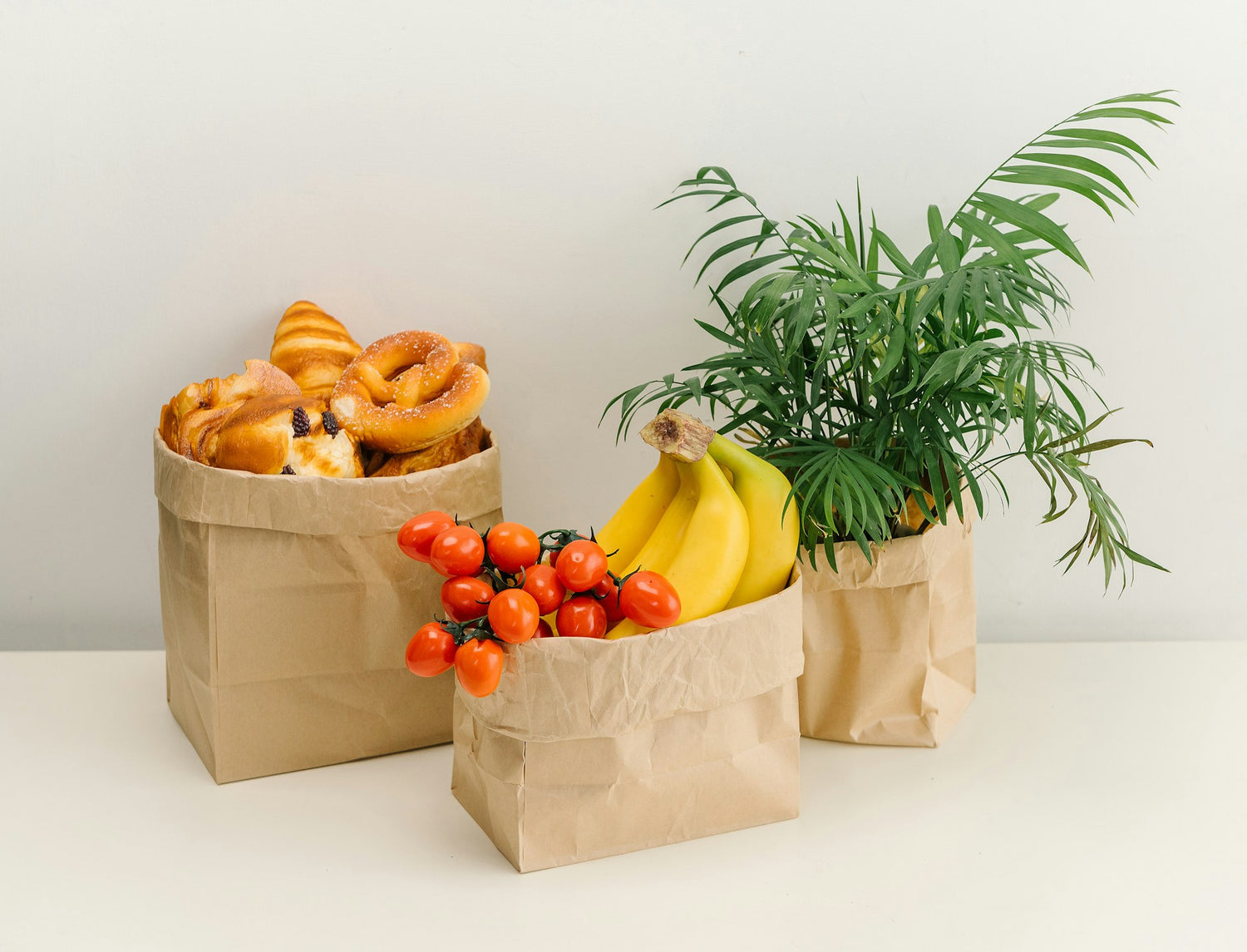 Celebrating Paper Bag Day This Plastic Free July – SaltyLama